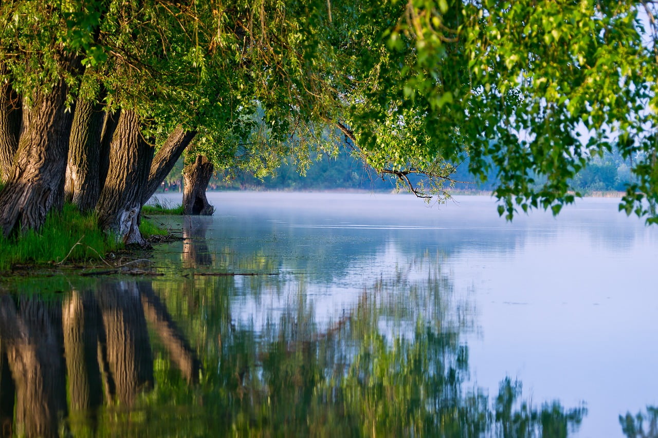 Morning meditation park picture